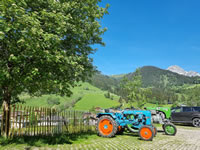 Oldtimer Traktor am Bauernhof Martinerhof
